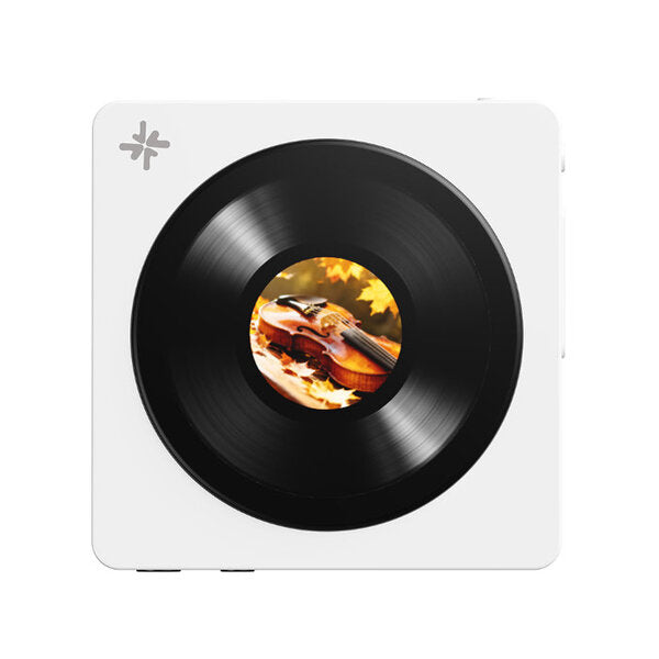 Snowsky DISC