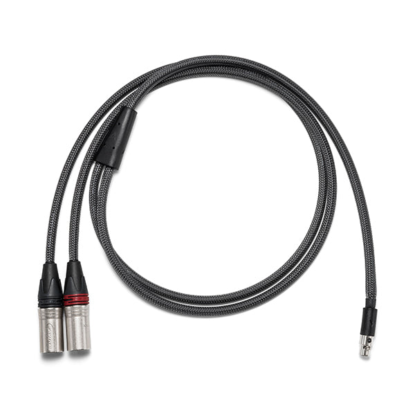 PEE41 5pin mini XLR to 3pin XLR 【PEE41-XLR-CABLE】