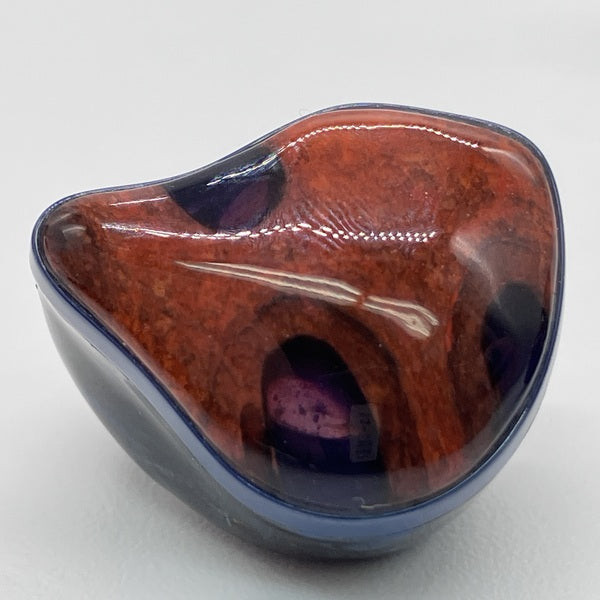 【中古】The Multiverse Mentor 【UNM-1567】【日本橋】