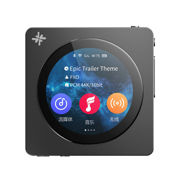 Snowsky DISC