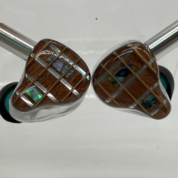 【中古】AISHA Pro (Universal Fit)【秋葉原】