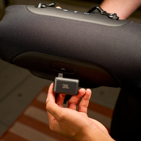 EasySing Mic Mini Duo ブラック【JBLESMICMINIDUO】
