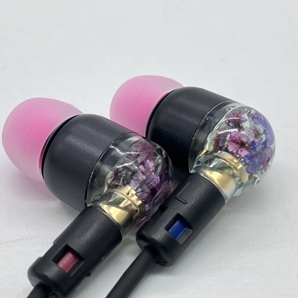 【中古】君子蘭 (Clivia)【秋葉原】